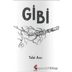 Gibi - Talat Avcı - Klaros Yayınları