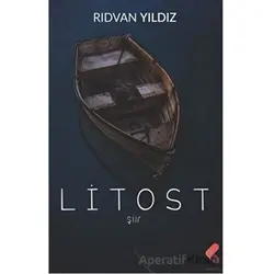 Litost - Rıdvan Yıldız - Klaros Yayınları