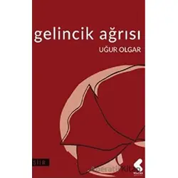 Gelincik Ağrısı - Uğur Olgar - Klaros Yayınları