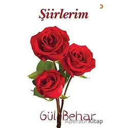 Şiirlerim - Gül Behar - Cinius Yayınları