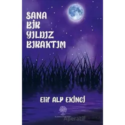 Sana Bir Yıldız Bıraktım - Elif Alp Ekinci - Platanus Publishing