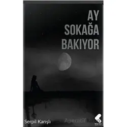 Ay Sokağa Bakıyor - Serpil Karışlı - Klaros Yayınları