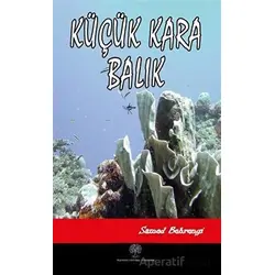 Küçük Kara Balık - Samed Behrengi - Platanus Publishing