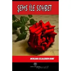Şems İle Sohbet - Mevlana Celaleddin Rumi - Platanus Publishing