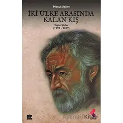 İki Ülke Arasında Kalan Kış - Mesut Aşkın - Klaros Yayınları