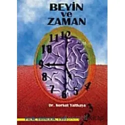 Beyin ve Uzman - Korkut Yaltkaya - Palme Yayıncılık