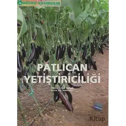 Patlıcan Yetiştiriciliği - Hüsnü Çınar Aybak - Hasad Yayıncılık