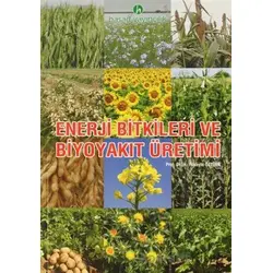 Enerji Bitkileri ve Biyoyakıt Üretimi - Hüseyin Öztürk - Hasad Yayıncılık