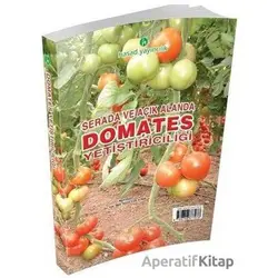 Serada ve Açık Alanda Domates Yetiştiriciliği - Hüsnü Çınar Aybak - Hasad Yayıncılık