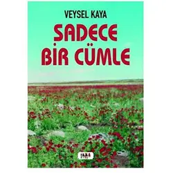 Sadece Bir Cümle - Veysel Kaya - Tilki Kitap