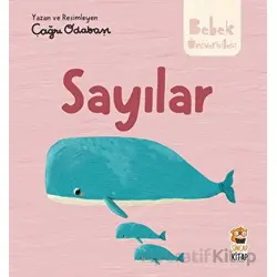 Hikayeli İlk Kavramlarım - Sayılar - Çağrı Odabaşı - Sincap Kitap