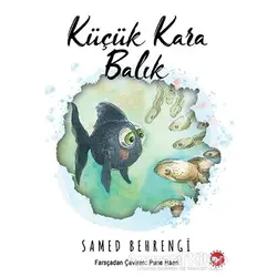 Küçük Kara Balık - Samed Behrengi - Beyaz Balina Yayınları