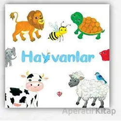 Hayvanlar (0-3 Yaş) - Merve Türkay - Türkiye Diyanet Vakfı Yayınları