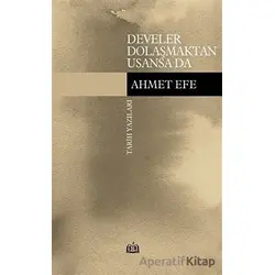 Develer Dolaşmaktan Usansa Da - Ahmet Efe - SR Yayınevi