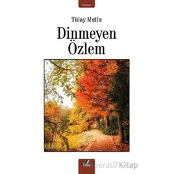 Dinmeyen Özlem - Tülay Mutlu - İzan Yayıncılık