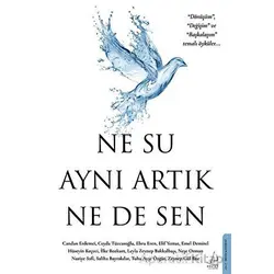 Ne Su Aynı Artık Ne de Sen - Kolektif - Destek Yayınları