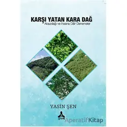 Karşı Yatan Kara Dağ - Yasin Şen - Sonçağ Yayınları