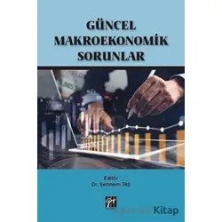 Güncel Makroekonomik Sorunlar - Şebnem Taş - Gazi Kitabevi