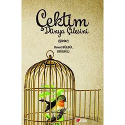 Çektim Dünya Çilesini - Davut Bülbül - Berikan Yayınevi