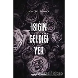 Işığın Geldiği Yer - Saliha Durmuş - Epsilon Yayınevi