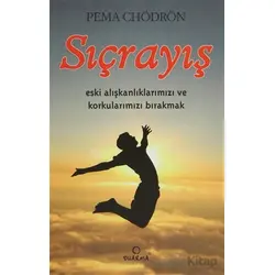 Sıçrayış - Pema Chödrön - Dharma Yayınları
