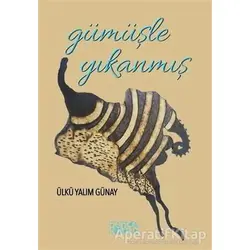 Gümüşle Yıkanmış - Ülkü Yalım Günay - Bencekitap