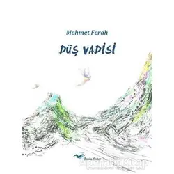 Düş Vadisi - Mehmet Ferah - Başka Yerler Yayınları