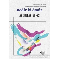 Nedir ki Ömür - Abdullah Nefes - Bencekitap