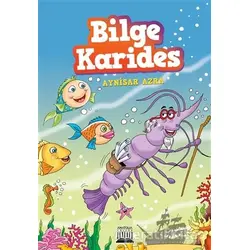 Bilge Karides - Aynisar Azra - Anatolia Kitap