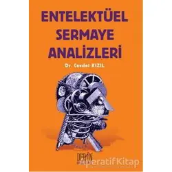 Entelektüel Sermaye Analizleri - Cevdet Kızıl - Derin Yayınları