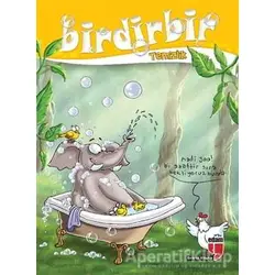 Birdirbir - Temizlik - Kolektif - EDAM