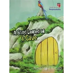 A Bird Landed in a Cave - Responsibility - Neriman Karatekin - EDAM