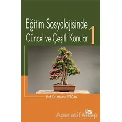 Eğitim Sosyolojisinde Güncel ve Çeşitli Konular-1 - Mahmut Tezcan - Anı Yayıncılık