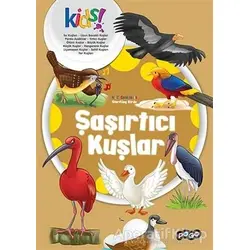 Şaşırtıcı Kuşlar - Kolektif - Pogo Çocuk