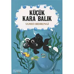 Küçük Kara Balık - Samed Behrengi - Kumran Yayınları