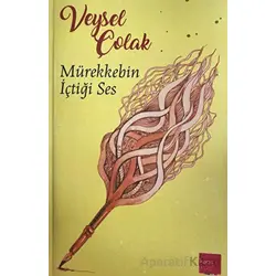 Mürekkebin İçtiği Ses - Veysel Çolak - Kaos Çocuk Parkı Yayınları