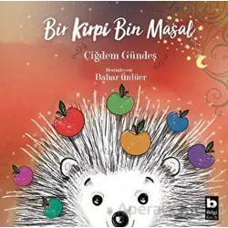 Bir Kirpi Bin Masal - Çiğdem Gündeş - Bilgi Yayınevi