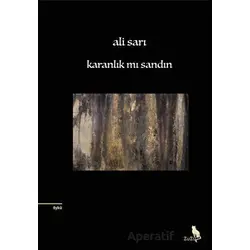 Karanlık Mı Sandın - Ali Sarı - Zuzu Kitap