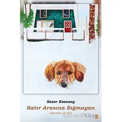 Satır Arasına Sığmayan - Sezer Esensoy - Cinius Yayınları