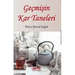 Geçmişin Kar Taneleri - Ebru Şimal Sağık - Gülnar Yayınları