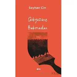 Gökyüzüne Bakmadan - Seyhan Cin - Şule Yayınları