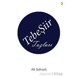 TebeŞiir Tozları - Ali Şalvarlı - Cinius Yayınları