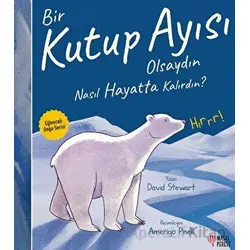 Bir Kutup Ayısı Olsaydın Nasıl Hayatta Kalırdın? - David Stewart - Masalperest