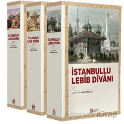 İstanbullu Lebib Divanı (3 Cilt, Takım) - Mehmet Arslan - DBY Yayınları