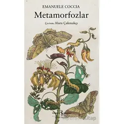 Metamorfozlar - Emanuele Coccia - İş Bankası Kültür Yayınları