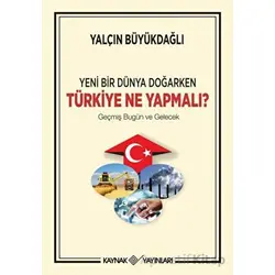 Yeni Bir Dünya Doğarken Türkiye Ne Yapmalı? - Yalçın Büyükdağlı - Kaynak Yayınları