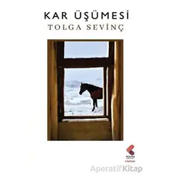 Kar Üşümesi - Tolga Sevinç - Klaros Yayınları
