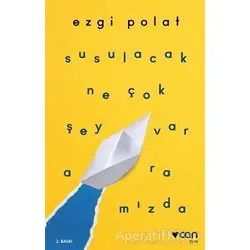 Susulacak Ne Çok Şey Var Aramızda - Ezgi Polat - Can Yayınları