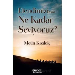 Efendimizi (Sav) Ne Kadar Seviyoruz - Metin Kızılok - Gülnar Yayınları