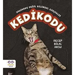 Kedikodu - Recep Bilal Aksu - Cezve Çocuk